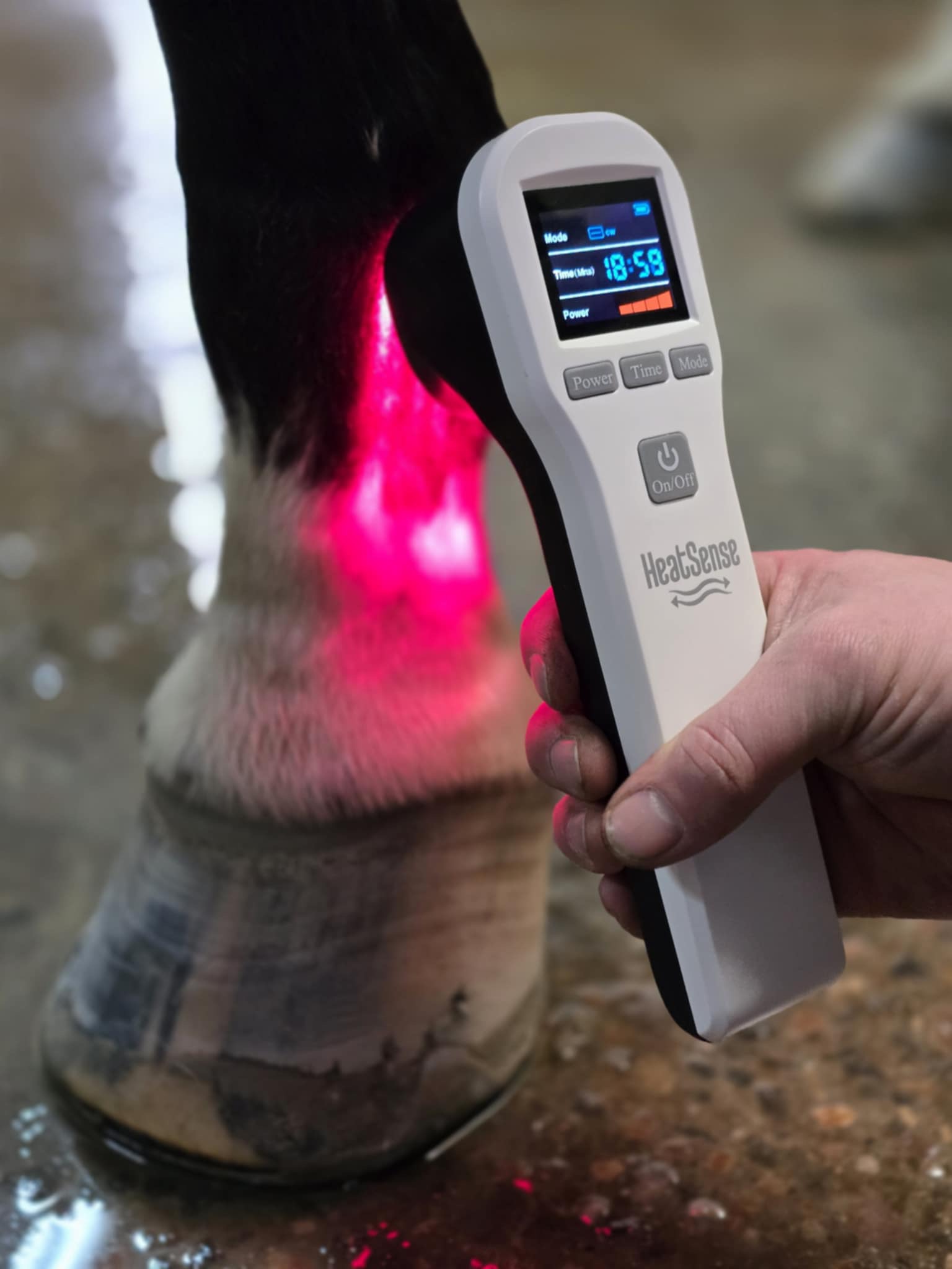 heat sense laser s 2 hevoselle