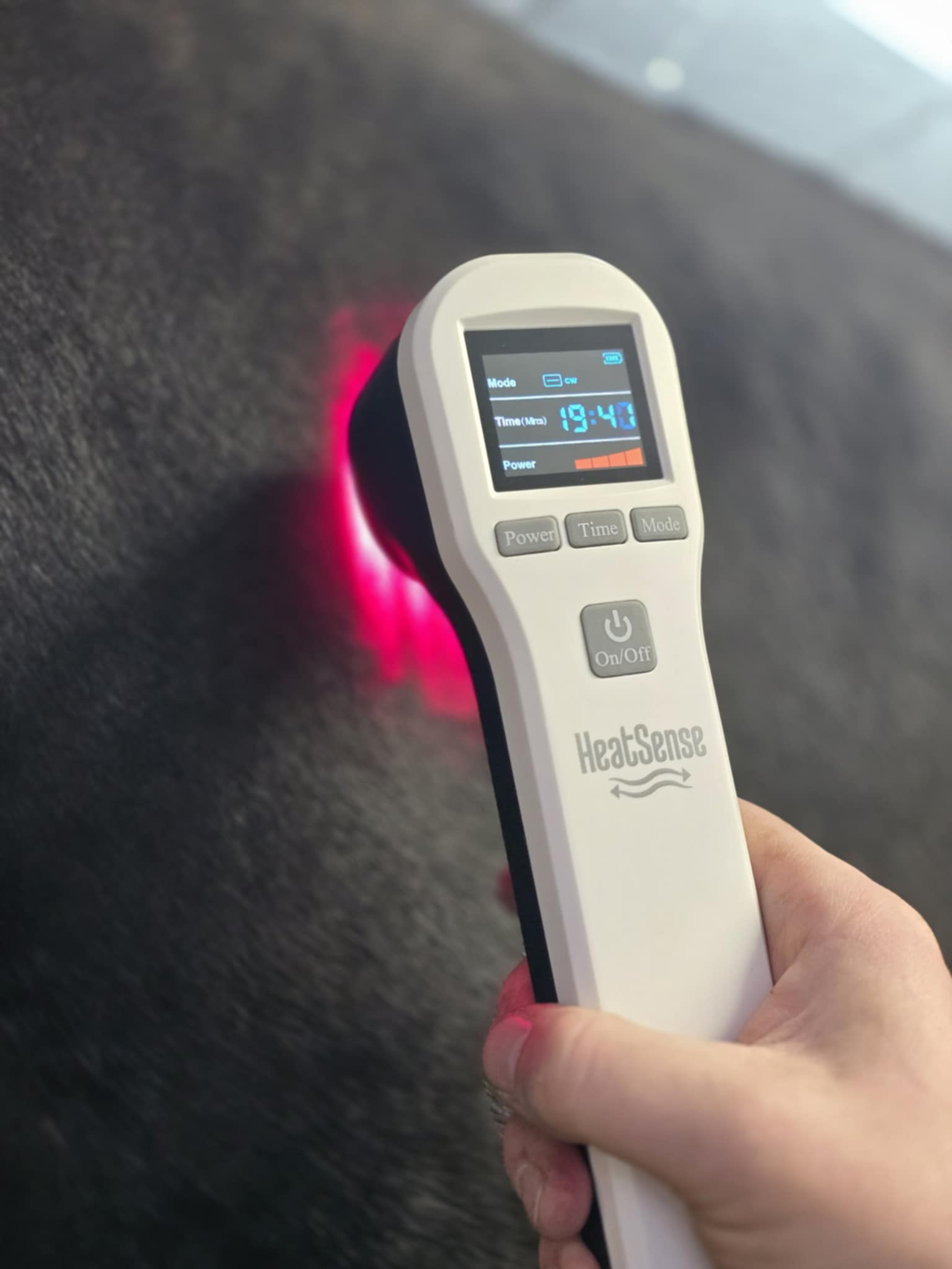 hevonen laser s 2