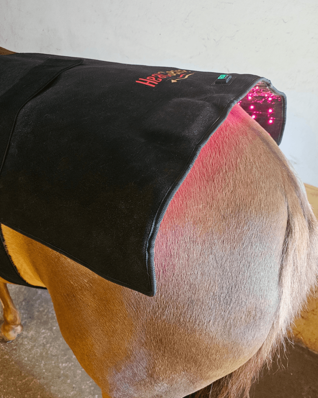 rød lysterapi stor pad 2.0 til hest og pony