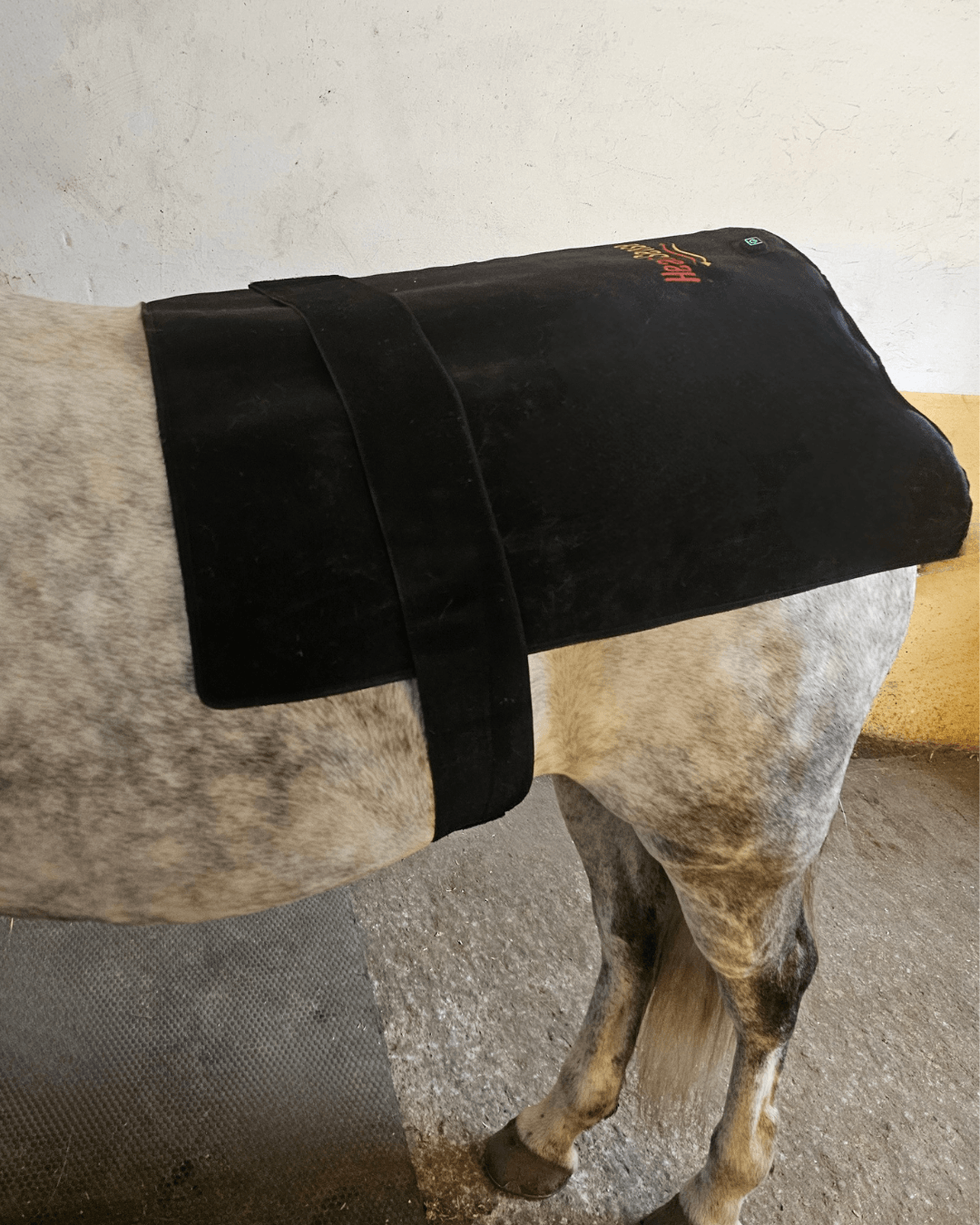 rød lysterapi stor pad 2.0 til pony og hest